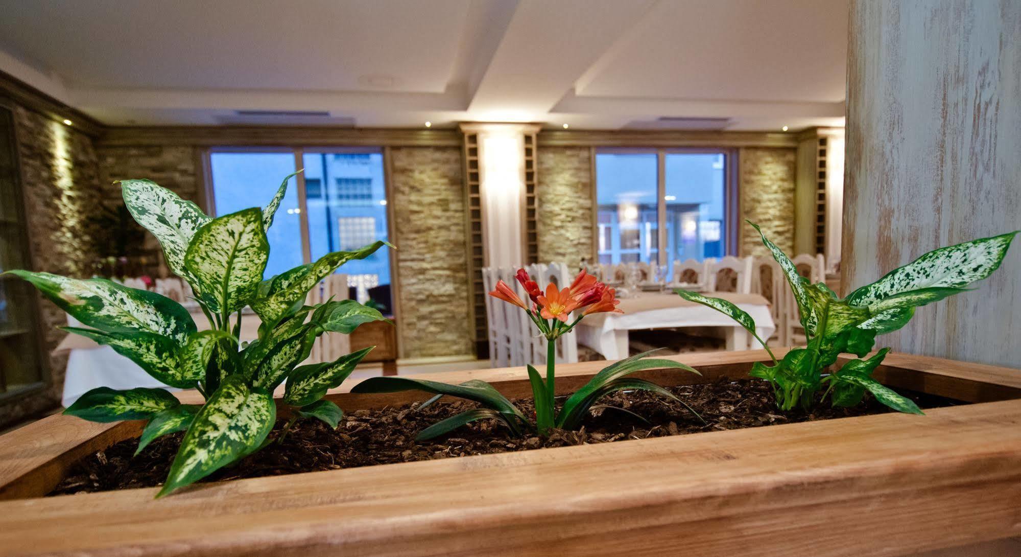 Wine Hotel Cesarica Medugorje Bagian luar foto