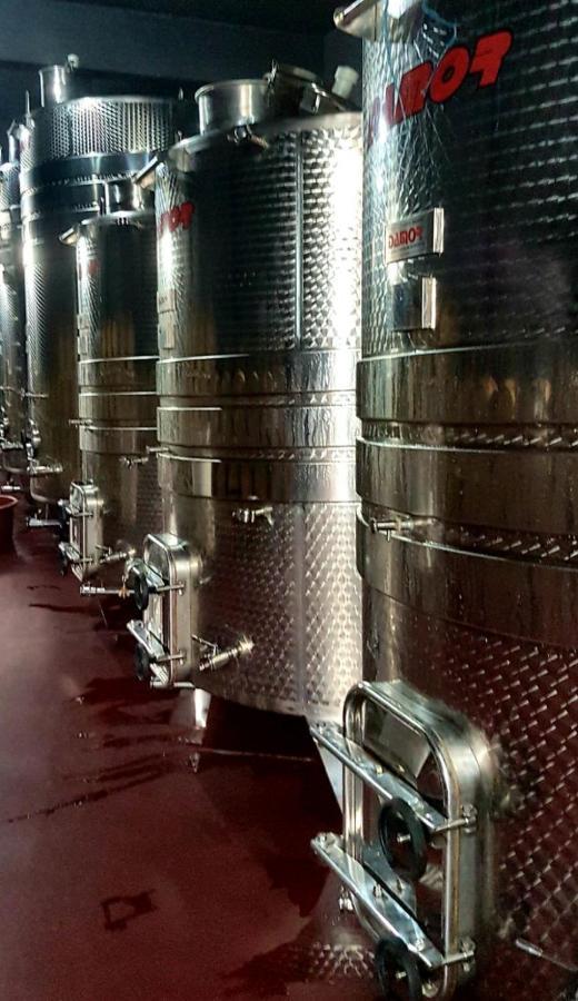 Wine Hotel Cesarica Medugorje Bagian luar foto